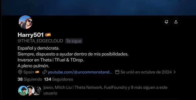 A Twitter/X profile for 'Harry501 🇪🇸' (@THETA_EDGECLOUD) with a Spanish bio stating 'Español y demócrata. Siempre, dispuesto a ayudar dentro de mis posibilidades. Inversor en Theta | TFuel & TDrop. A pleno pulmón.', located in Spain.