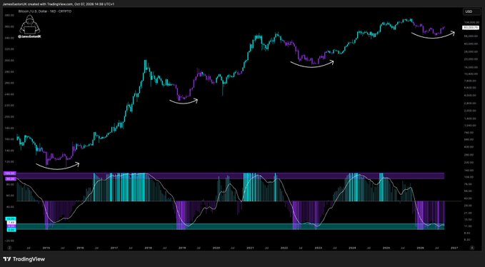 A TradingView chart displays Bitcoin/U.S. Dollar on a weekly timeframe (BITSTAMP:XBTUSD), spanning from 2015 to 2026, with candles highlighted in teal and purple to emphasize accumulation phases and curved arrows marking prior bottom reversals. The "Accumulation" indicator at the bottom shows bullish accumulation zones aligning with historical cycle bottoms, supporting the caption's message that panic sellers during these marked periods will miss future recoveries.