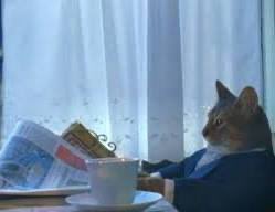 A small orange cat in a blue suit sits at a table reading a newspaper next to a white teacup.
