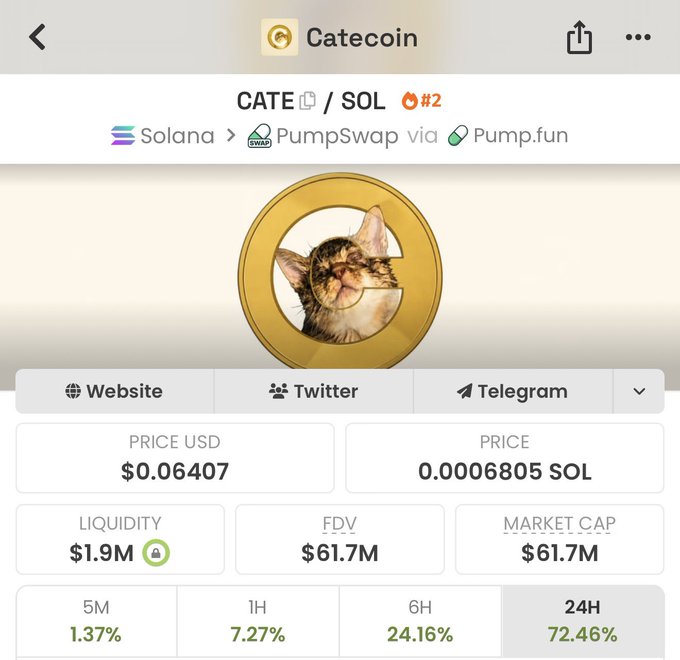The image displays a CATEcoin (CATE/SOL) token page on a crypto tracker, showing a current market cap of $61.7M, FDV of $61.7M, and a strong 24H gain of 72.46%—reflecting the "100M today" celebration mentioned in the post, as the token's market cap appears to have surged dramatically toward that milestone.