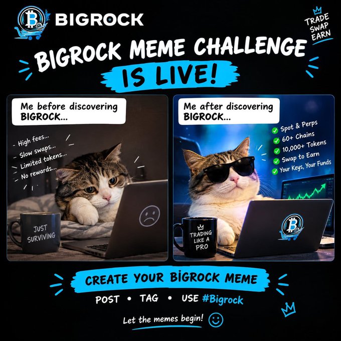 'BIGROCK MEME CHALLENGE IS LIVE!' promotional image showing two cats labeled 'Me before discovering BIGROCK' with complaints like 'High fees' and 'Me after discovering BIGROCK' listing benefits including 'Spot & Perps' and '60+ Chains'.
