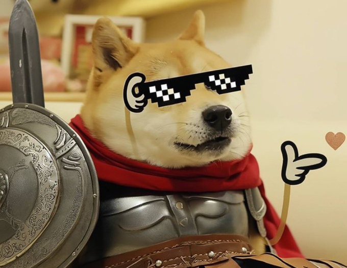 The image features a dog dressed up as a knight with glasses and a red cape, giving off an impression of medieval royalty or a superhero. The caption reads "Dogeus Maximus is bringing back what made memes great. Simple memes. Community raids. Attention from Elon." This suggests that the image is related to the meme culture and the concept of Dogeus, who is often associated with humor and lightheartedness in pop culture.