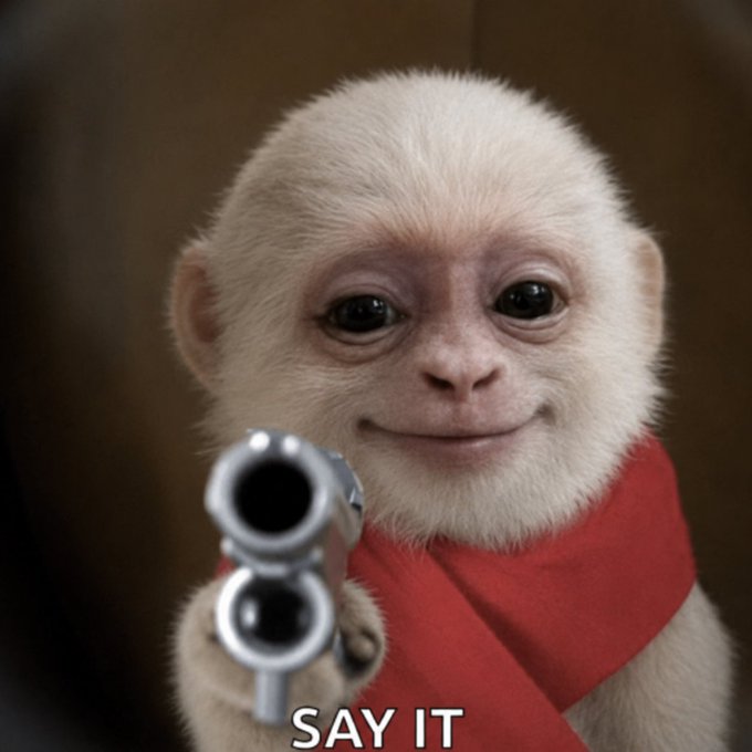 A close-up image of a white monkey with a slight smile wearing a red garment, holding a silver revolver pointed toward the camera, with the caption 'SAY IT' at the bottom.