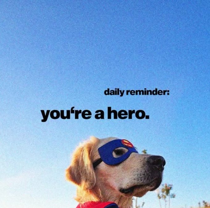 A motivational meme featuring a golden retriever wearing a blue superhero mask with the text 'daily reminder: you're a hero.' against a blue sky background.