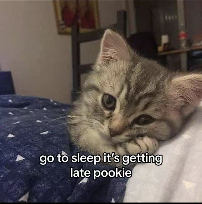 A cute tabby kitten resting its head on a blanket with the text overlay 'go to sleep it's getting late pookie.'