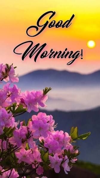 'Good Morning!' greeting image with black cursive text on a yellow sunset sky, featuring pink cherry blossoms in the foreground and silhouetted mountains in the background.