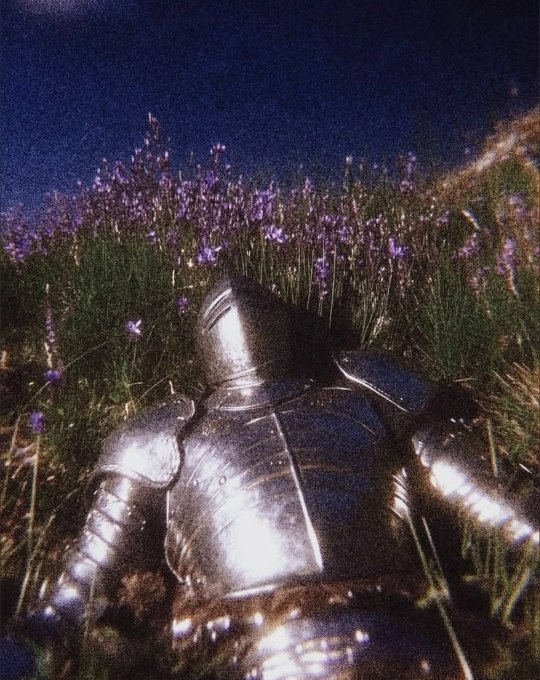 A person wearing a full suit of shiny metallic plate armor lies on their back in a field of green grass and purple flowers under a dark sky.