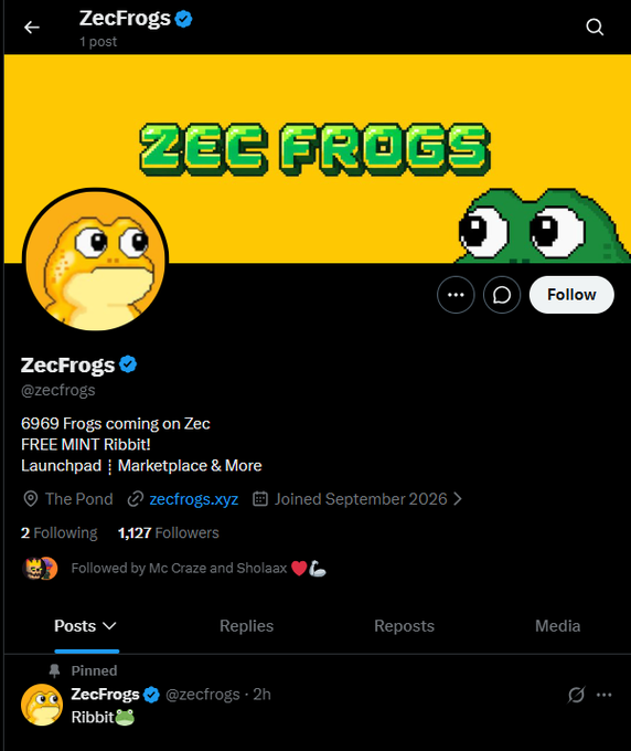 This image shows the X (Twitter) profile page for "ZecFrogs" (@zecfrogs), a verified account with 1,127 followers promoting a free mint of 6,969 NFT frogs launching on the Zec blockchain, featuring their own launchpad and marketplace at zecfrogs.xyz, with a pinned post announcing "Ribbit 🐸."