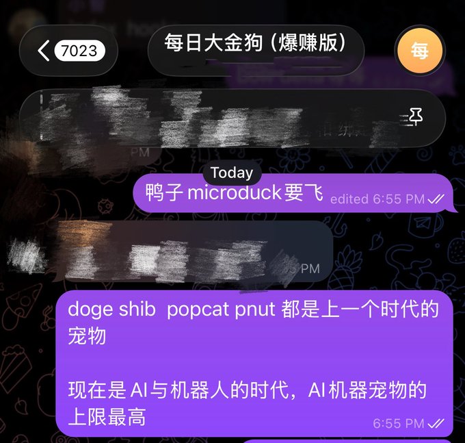A Chinese-language chat screenshot titled "每日大金狗（爆赚版）" shows a user named 鸭子 microduck declaring that "doge shib popcat pnut 都是上一个时代的宠物" (doge, shib, popcat, pnut are all pets of the previous era) and that AI robot pets are the future, with a "Today 6:55 PM" timestamp—illustrating the bullish $microduck sentiment referenced in the post about surpassing $doge's market cap.