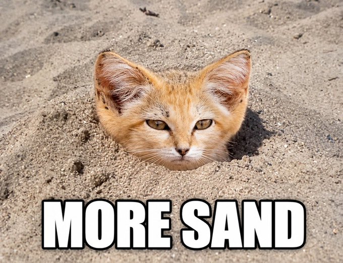 An orange tabby kitten peeks out from a hole in the sand, with the bold caption 'MORE SAND' displayed at the bottom.