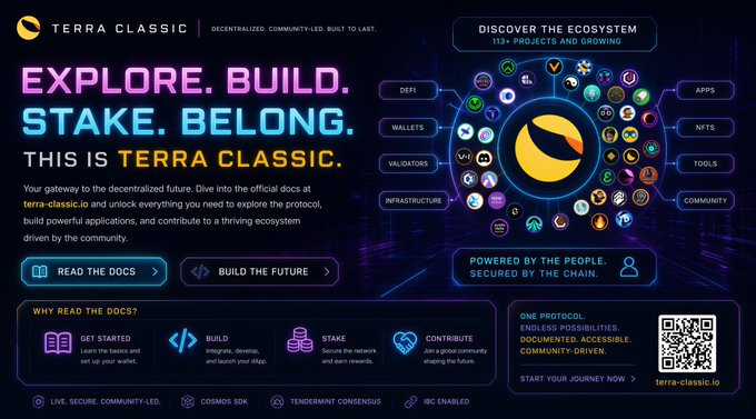 A vibrant promotional graphic for Terra Classic (terra-classic.io) featuring the tagline "EXPLORE. BUILD. STAKE. BELONG. THIS IS TERRA CLASSIC." alongside a circular ecosystem diagram highlighting 113+ projects across categories like DeFi, Wallets, Validators, Apps, NFTs, and Tools, directly matching the call to action to "DISCOVER THE TERRA CLASSIC ECOSYSTEM."