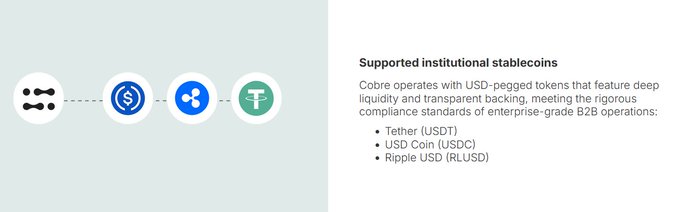 A slide titled "Supported institutional stablecoins" listing Tether USDT, USD Coin USDC, and Ripple USD RLUSD, alongside icons connected by a dotted line.
