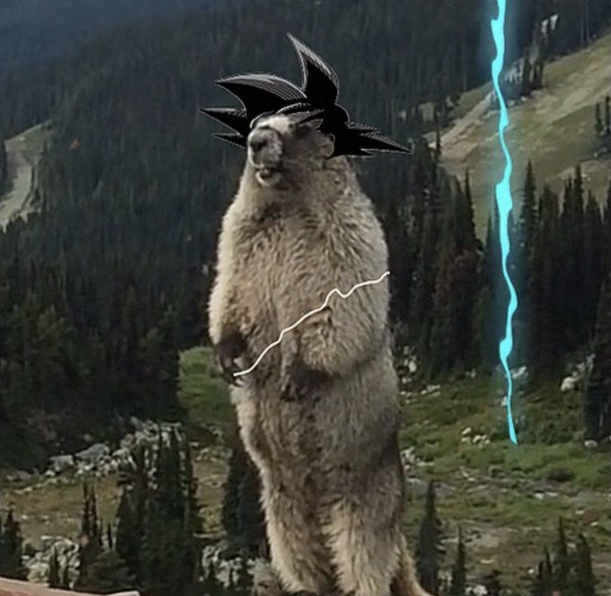 The image features a brown bear standing on its hind legs, wearing a black and white anime character hat with a lightning bolt design. The background includes trees and mountains, creating an interesting contrast between nature and the whimsical character. The caption of the image reads "Focus on what is in the image and how it relates to the post".