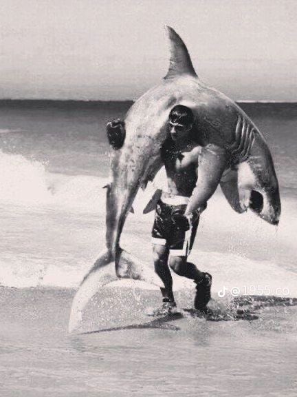 A vintage black and white photo shows a man in swim trunks carrying a large shark over his shoulder as he walks out of the surf.