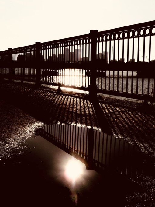 A silhouetted metal fence stands against a bright sky, with a city skyline visible in the background and reflections of light shining on a puddle in the foreground.