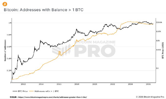 A Bitcoin Magazine Pro chart titled "Bitcoin: Addresses with Balance > 1 BTC" plots the number of addresses holding more than 1 BTC (yellow line) against BTC price (black line) from 2012 to 2026, showing that the address count climbed steadily to roughly 1M and has plateaued since around 2018 despite prices surging from ~$1,000 to ~$100K. This visual reinforces the post's observation that only about 1 million addresses hold over 1 BTC and that growth has stagnated since 2018, suggesting the cohort accumulated during Bitcoin's cheaper pre-2018 era.