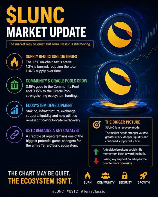 A '$LUNC MARKET UPDATE' infographic for Terra Classic cryptocurrency covering supply reduction burns, community and oracle pools, ecosystem development, and USTC as a catalyst.