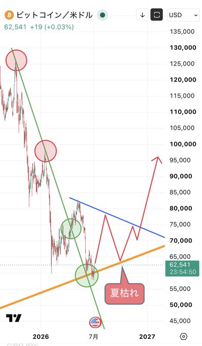 A TradingView chart of Bitcoin/USD (BTC/USD) showing a long-term price projection with the current price at $62,541, featuring a descending green trendline, an ascending orange support line forming a triangle pattern, and annotations indicating an expected July rebound followed by a "夏枯れ" (summer doldrums) correction in August-September before a rally toward $95,000+. The chart visually illustrates the analyst's outlook that the recent drop to the $50,000s was a prime buying opportunity, with a predicted temporary summer slump before further upside.