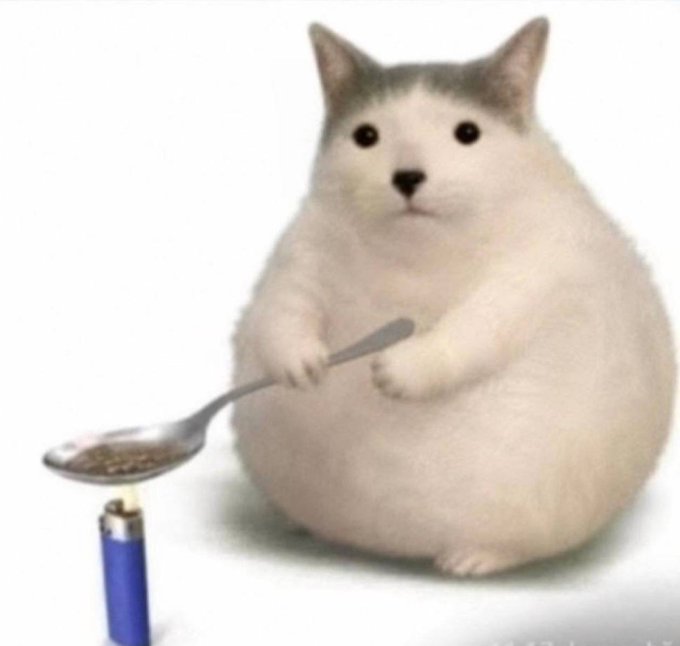 A chubby white cat holds a spoon over a lighter flame, appearing to heat something in a humorous meme-style image.