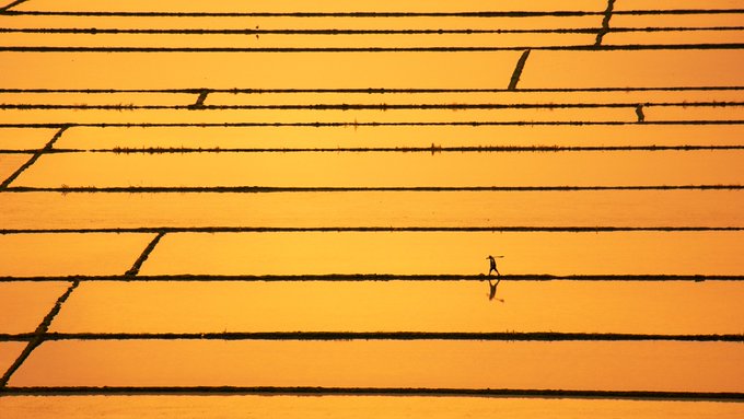 A minimalist abstract image showing horizontal orange and yellow stripes with subtle dark lines, resembling weathered wood planks.