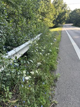 A roadside scene shows wildflowers and greenery growing alongside a metal guardrail next to an empty asphalt road, with no visible text or numbers in the image. The image complements the post's sentiment by capturing the natural wildflowers blooming along the roadside, though the sweet-smelling purple petunias mentioned in the caption are not distinctly visible in this particular view.