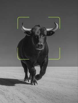 A black bull charges forward in a black-and-white photograph, framed by a green targeting reticle overlay against a light background.