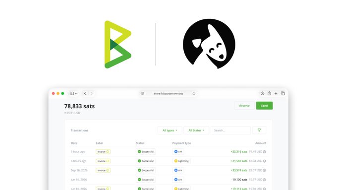 A web browser shows the store.bitpayserver.org interface displaying a Bitcoin Lightning wallet balance of 78,833 sats (≈ $55.11 USD) alongside logos for Bitpay and the Bitcoin Lightning Network.