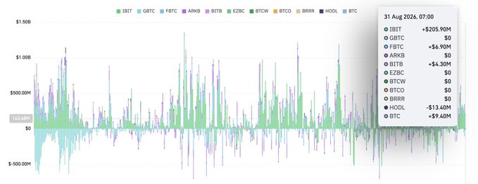 Bar chart displaying ETF flows for IBIT, GBTC, FBTC, ARKB, BITB, EZBC, BTCW, BTCO, BRRR, and HODL, with 31 Aug 2024 data showing IBIT leading at +$205.90M and HODL at -$13.40M.