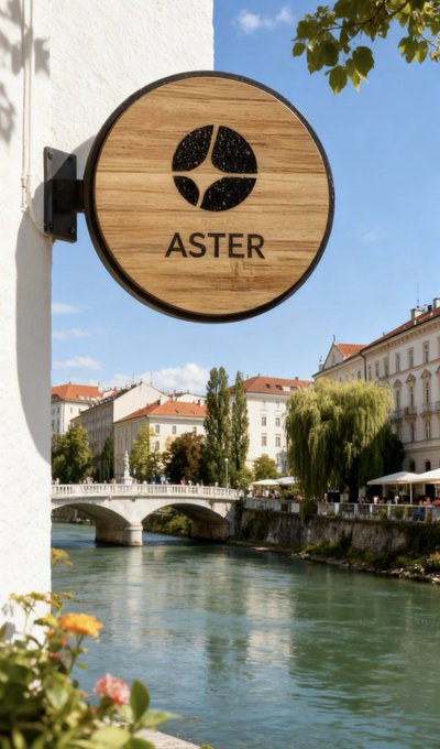 A round wooden sign bearing the name "ASTER" and a four-petal emblem is mounted on a white wall overlooking a sunlit European riverfront, with a stone bridge and classic buildings in the background—visually reflecting the sleek, coded branding of the $ASTER token.