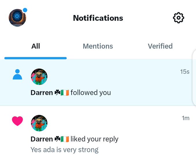 A Twitter/X notifications screen showing that 'Darren' (with Irish flag emojis) followed the user 15 seconds ago and liked their reply 1 minute ago, commenting 'Yes ada is very strong'.