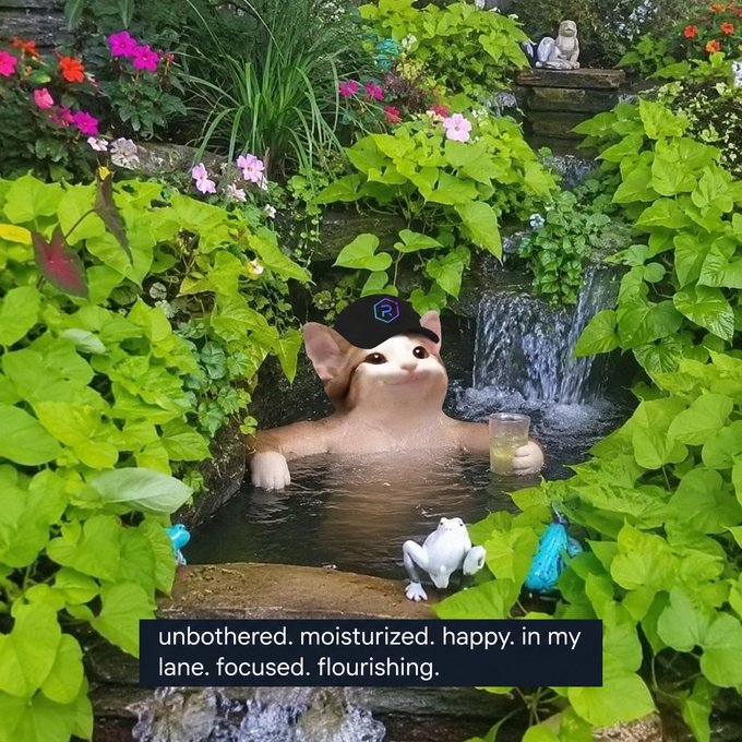 A cat wearing a black cap relaxes in a garden hot tub beside a small waterfall, surrounded by lush green foliage and colorful flowers, with the caption "unbothered. moisturized. happy. in my lane. focused. flourishing." displayed below.