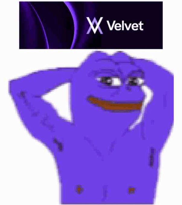 A meme image featuring the 'X Velvet' logo at the top above a purple 'Dat Boi' meme character with his hand behind his head.