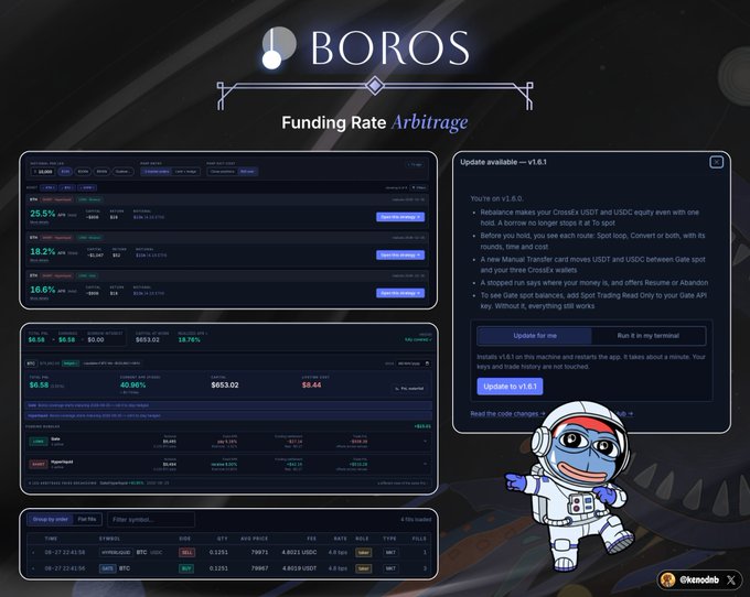 A dashboard for BOROS Funding Rate Arbitrage showing cross-asset funding spreads, USDT and USDC equal yield, and an update notification for version v1.6.1.