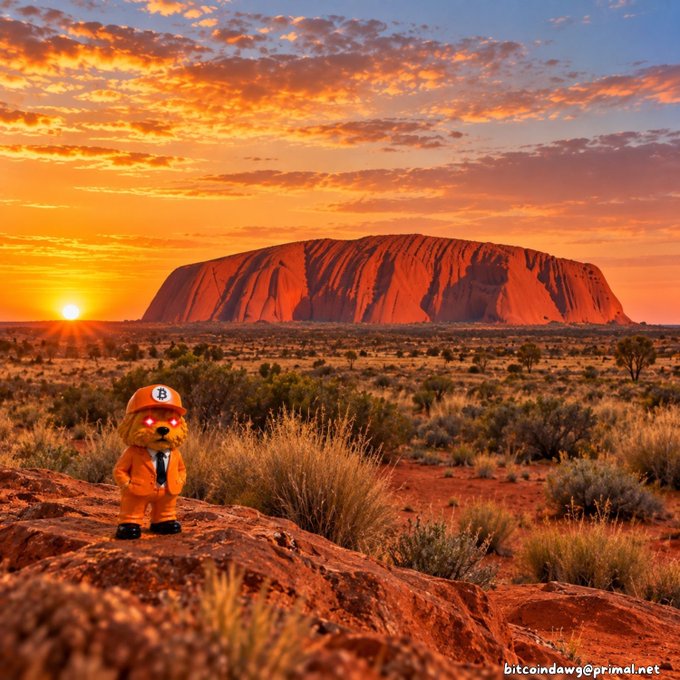 A figure in an orange outfit and cap stands on a rock in the Australian outback with Uluru in the background at sunset, watermarked 'bitcoindawgs@primal.net'.