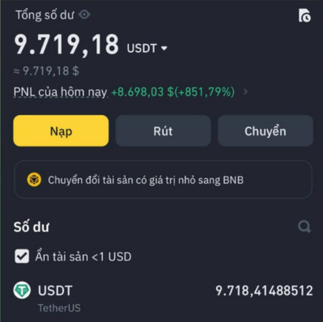 A Vietnamese cryptocurrency wallet screenshot showing a total balance of '9.719,18 USDT' with today's profit at '+8.698,03 $(+851,79%)'.