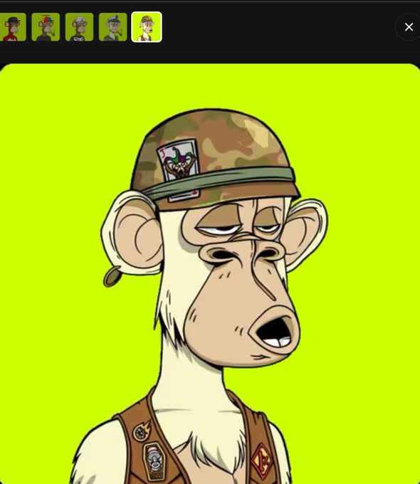 A cartoon character resembling a monkey in a camo hat and vest with patches, set against a bright green background, with smaller character thumbnails at the top.