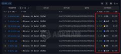 A dark-themed portfolio dashboard displaying a list of cryptocurrency or token holdings with columns for balances and values, with a red box highlighting the rightmost column of numerical figures.