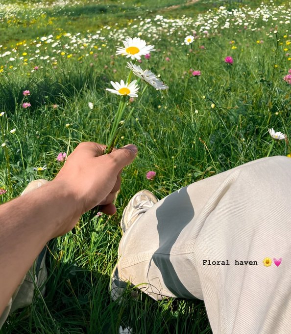 The image features a person holding a daisy flower between their fingers while sitting in a field of flowers. The background includes a variety of colorful flowers, creating a beautiful and serene atmosphere. The photo appears to be taken from a low angle, making the person with the daisy appear larger than life against the backdrop of the vibrant floral scene.