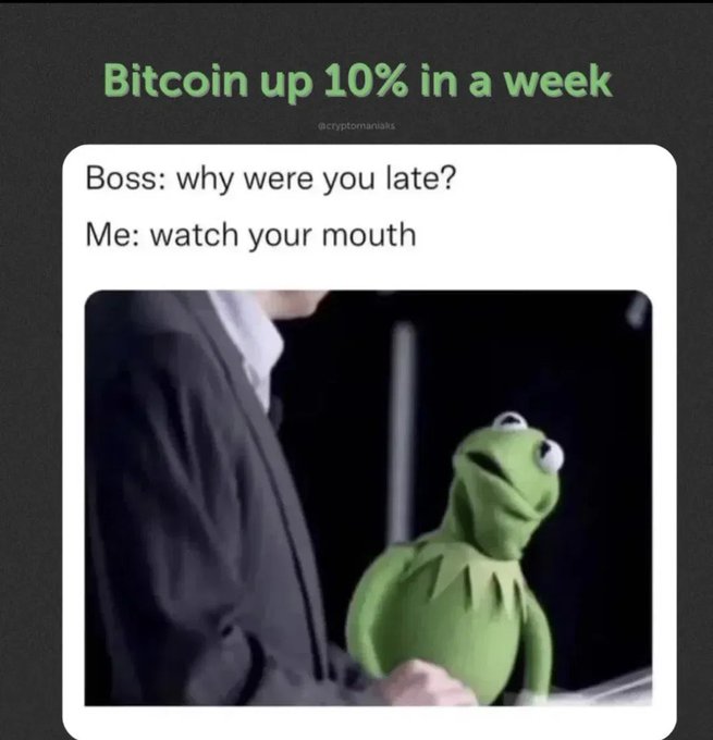Meme from @cryptomaniaks titled 'Bitcoin up 10% in a week' featuring a Kermit the Frog image with text 'Boss: why were you late? Me: watch your mouth'.