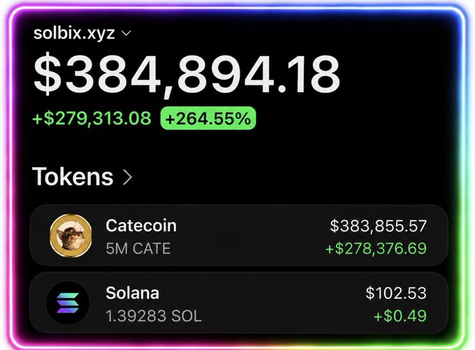 A crypto wallet interface displaying a portfolio value of $384,894.18, primarily holding 5M Catecoin worth $383,855.57 and a small amount of Solana.