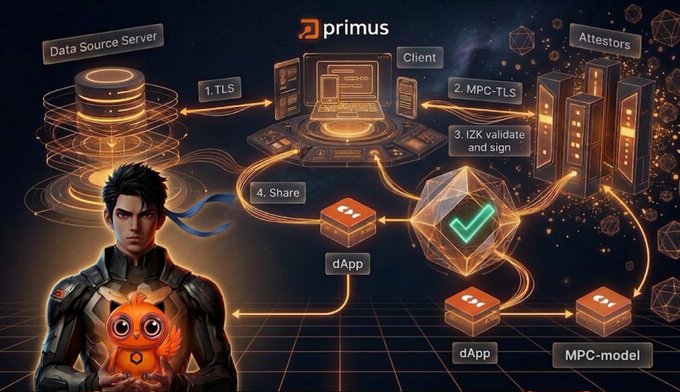 An illustrated infographic by 'primus' showing a secure data flow process: Data Source Server connects via 1. TLS to Client, then 2. MPC-TLS to Attestors, 3. IZK validate and sign, 4. Share with dApps and MPC-model.