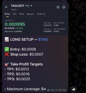 A screenshot from a Tagger app showing a trading setup for TAGUSDT Perp with a long entry at $0.0009, a stop loss at $0.0007, and take profit targets at $0.0012, $0.0016, and $0.0020.