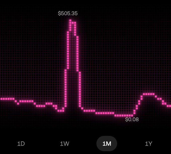 A pink neon-style line graph on a black background shows a dramatic spike peaking at $505.35 with a low point of $0.08, with time range options '1D', '1W', '1M' (selected), and '1Y' at the bottom.