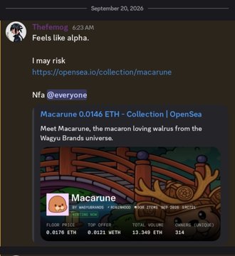A Discord message from user "Thefemog" sharing a link to the "Macarune 0.0146 ETH" NFT collection on OpenSea, featuring a cute macaron character.