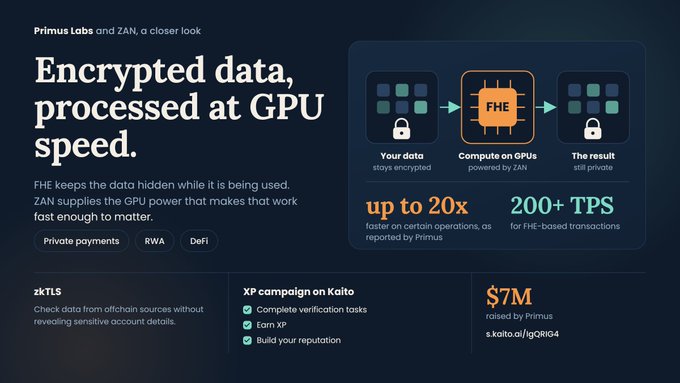 A dark promotional graphic for “Primus Labs and ZAN” reads “Encrypted data, processed at GPU speed,” with claims including “up to 20x” faster operations, “200+ TPS,” “zKTLS,” an XP campaign on Kaito, and “$7M raised by Primus.”