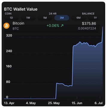 BTC Wallet Value dashboard showing Bitcoin (BTC) with a 24 HR change of +0.06%, balance of $375.86 (0.00407224 BTC), and a 3-month price chart trending upward from April 13 to July 6.