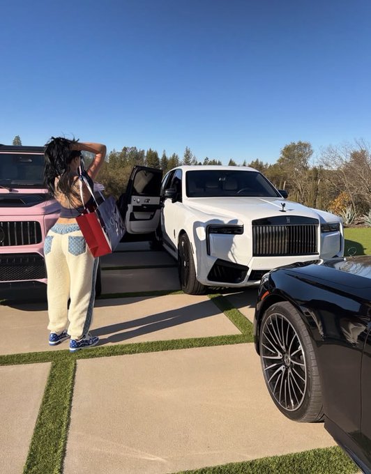 The image shows a woman standing next to two luxury cars, one white and one black. She has her hand on the door of the car she's looking at. The cars are parked side by side with their doors open, allowing for easy access or inspection. The background features a grassy area under a blue sky, providing a pleasant outdoor setting for the scene.