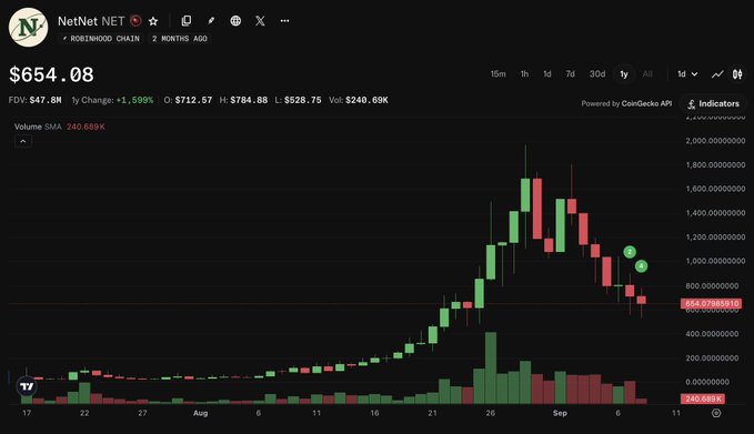 A cryptocurrency price chart for NetNet token showing a price of $654.08 on the Robinhood chain, with a 1y change of +1,598% and FDV of $47.8M.