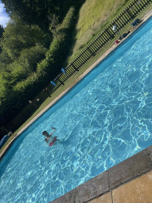 A child swims through a sunlit outdoor pool surrounded by lush greenery and a wooden fence, embodying the spirit of perseverance and showing up, much like the message about success belonging to those who consistently put in the effort.