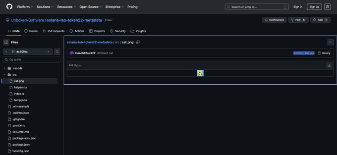 A GitHub repository page showing the file structure for Solana-labs/token22-metadata, specifically displaying a cat.png file in the src folder.